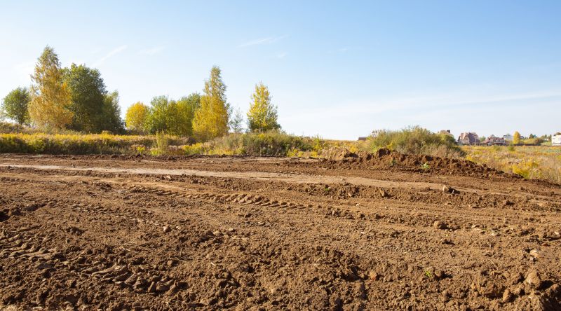 Ground Clearing in Salt Lake City, UT