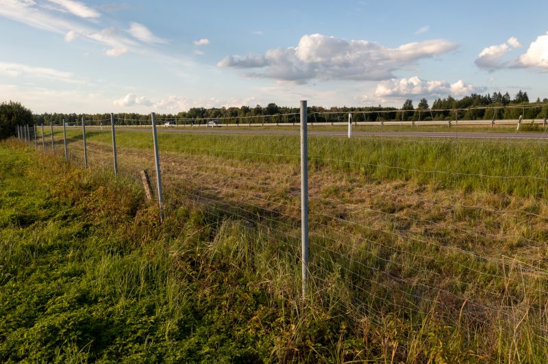 Property Line Clearing