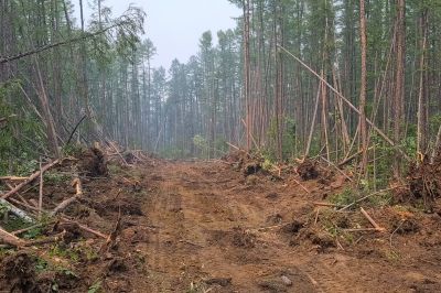 Commercial Land Clearing in Cumming, GA