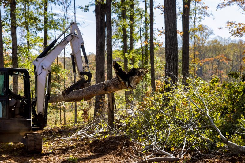 Construction Site Land Clearing in Gwinnett County, GA