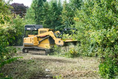 Land Clearing in Utah County, UT