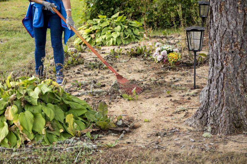 Undergrowth Removal in Gwinnett County, GA